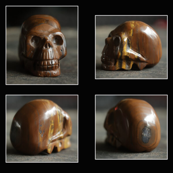 Skull Tijgeroog - Afbeelding 2