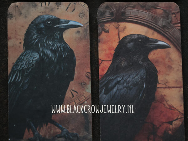 magneet crow 1 (uitverkocht) - Afbeelding 2