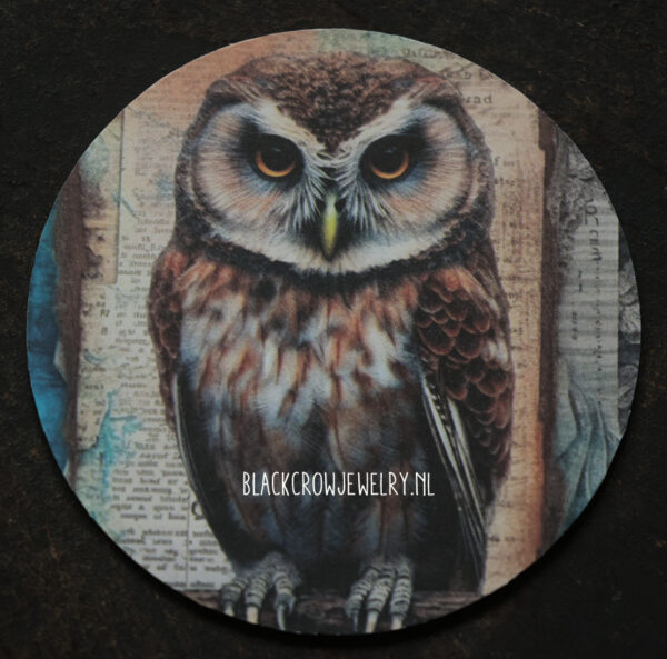 magneet uil 3