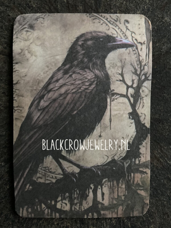 magneet crow 5