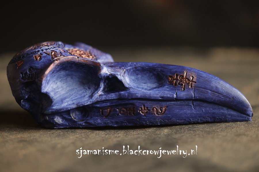 Raven/Crow Skull 24 - Afbeelding 2