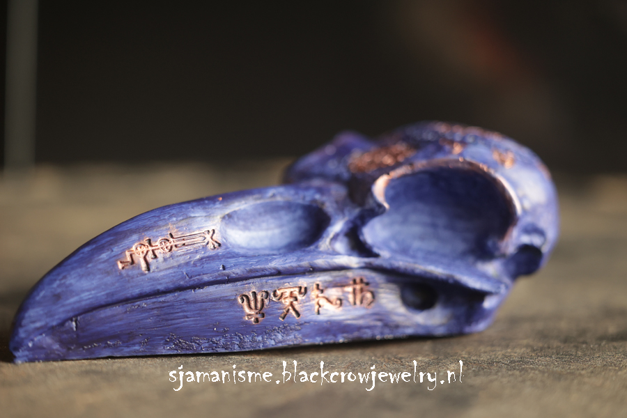 Raven/Crow Skull 24 - Afbeelding 3