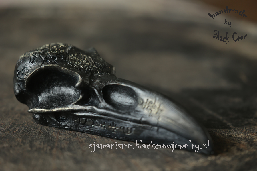 Raven/Crow skull 30 - Afbeelding 2