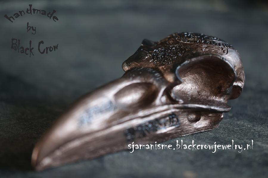 Raven/Crow skull 26 - Afbeelding 2