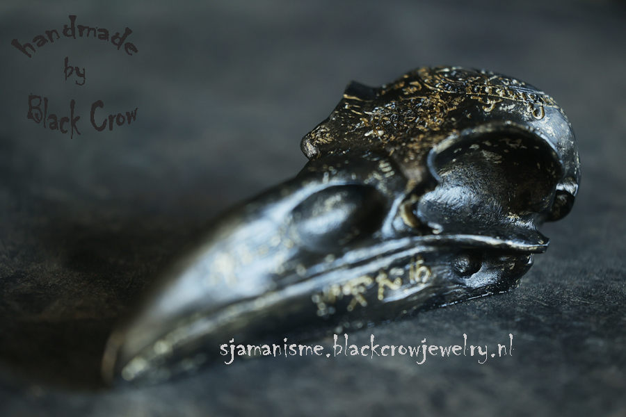 Raven/Crow skull 29 - Afbeelding 2