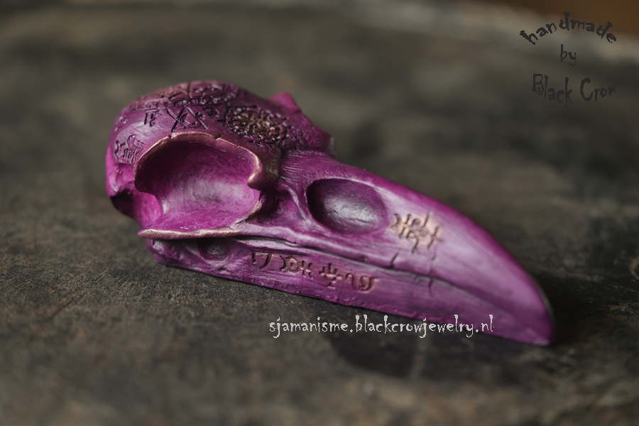 Raven/Crow skull 31 - Afbeelding 2