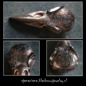 Raven/Crow skull 26