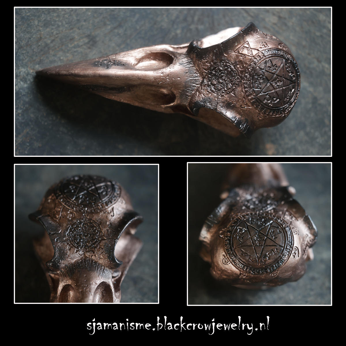 Raven/Crow skull 26