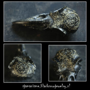 Raven/Crow skull 29