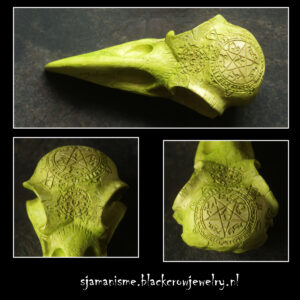 Raven/Crow skull 33