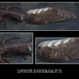 Smudge vleugel buizerd